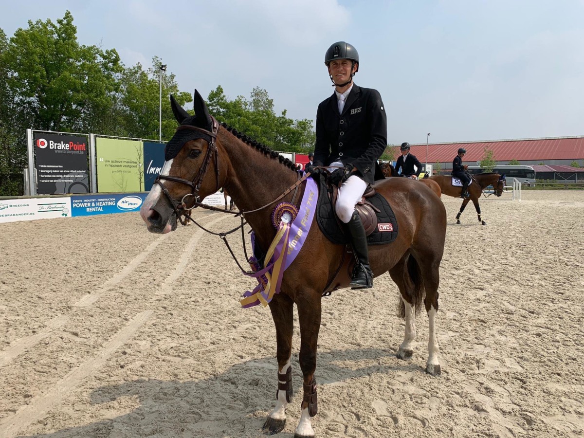 Mystic wint finale 7-jarige paarden